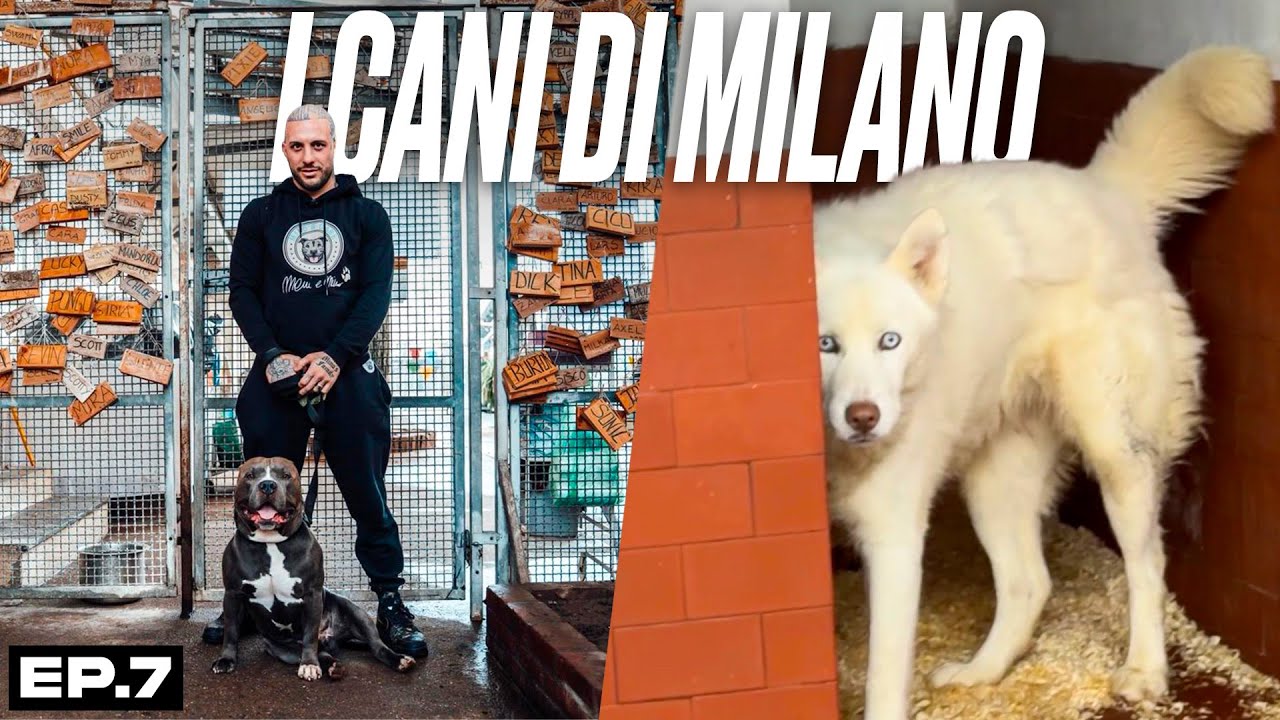 GLI ABBANDONATI DI MILANO -  STORIE CHE NESSUNO RACCONTA