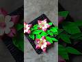wall decoration ideas with paper#shorts #trending #viral #diy #fun #craft#papercraft #youtubeshorts
