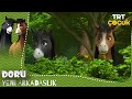 Doru Yeni Arkadaşlık 2 Bölüm 