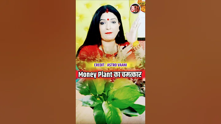 💯% Money Plant का चमत्कार #dryrakhiastrologer #shots #shorts #vastu #moneyplant #b16 #ytshorts