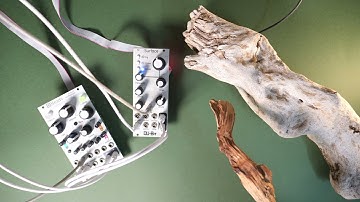 Legno, wood controller series - Qubit Surface, Mutable Instruments Beads