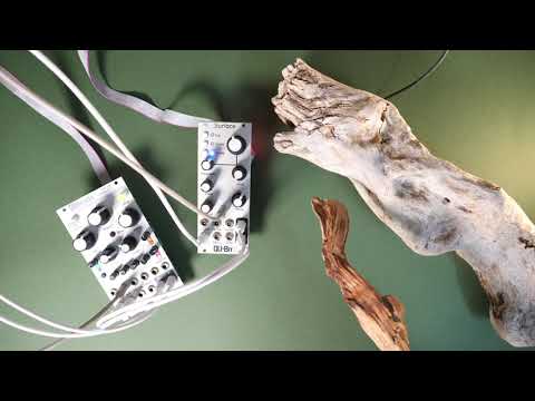 Legno, wood controller series - Qubit Surface, Mutable Instruments Beads