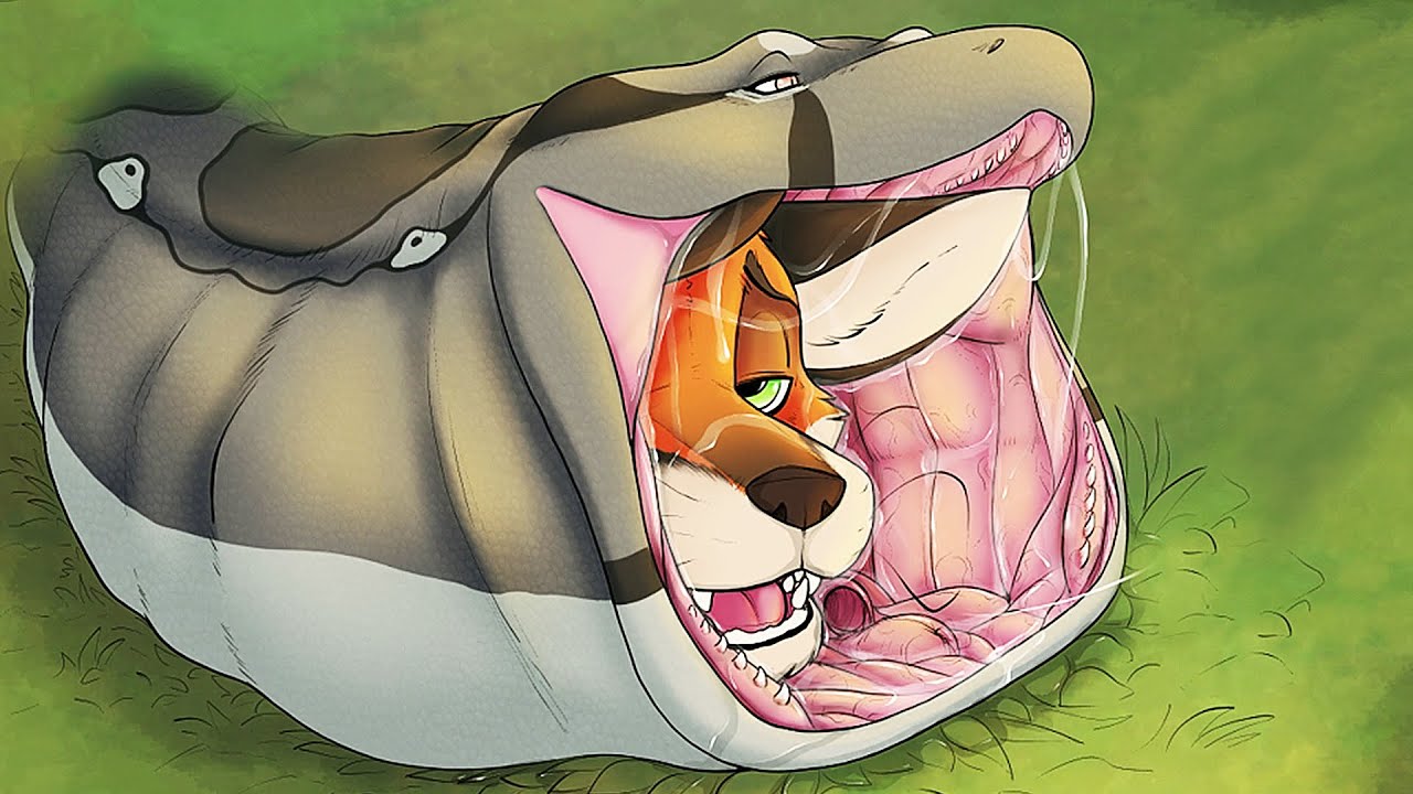 Furry vore videos