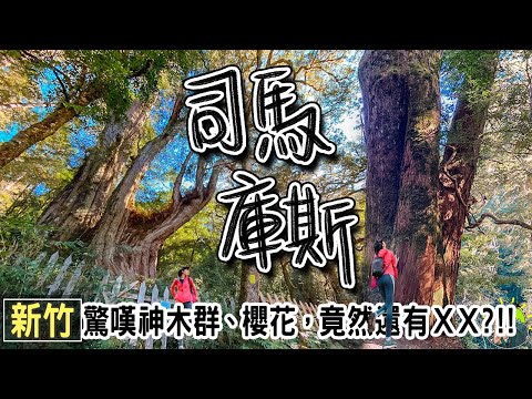 司馬庫斯 全台最後通電的村莊 | 來去上帝的部落看神木 | 新竹景點