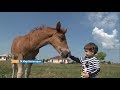 «Сельский порядок». Теплый Колодезь Губкинского округа (27.06.2018)