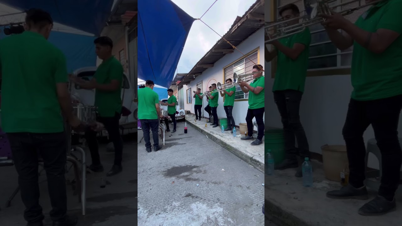 BANDA PALO DE ROSA TOCANDO MUCHACHITA CONSENTIDA 