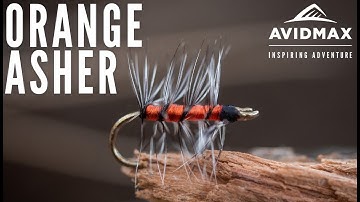 How to tie The Orange Asher | AvidMax Fly Tying Tuesday Tutorials