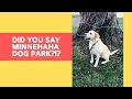 Minnehaha Dog Park