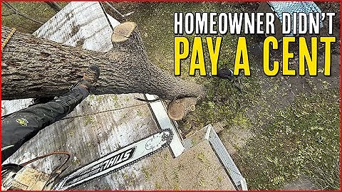 The "Free" Tree Removal