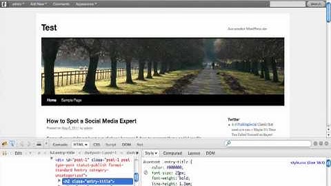 How to Modify Your Wordpress Template