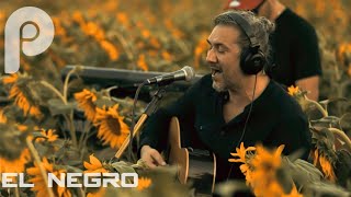 El Negro | Live @ Sunflower Fields