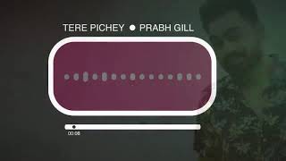 Tere Pichey (full video ) _ Prabh Gill_ Punjabi song 2019 latest this week