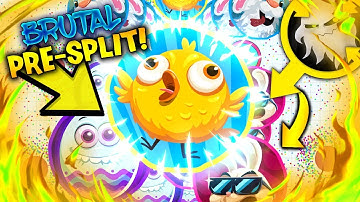 BRUTAL SOLO PRE SPLIT + EPIC POPSPLITS! | BLOB.IO