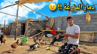 ماذا حدث في المزرعة !! 😣🔥