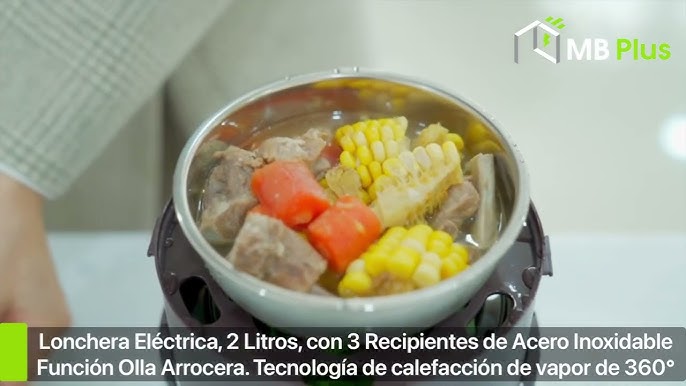 Corotos  Lonchera Eléctrica 110v, calienta tu comida sin