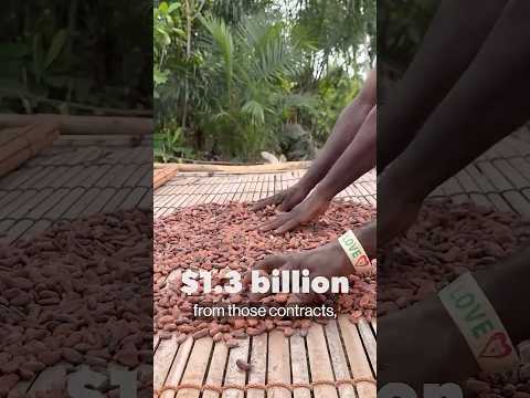 Cocoa crunch isn’t over yet as top growers struggle with supply