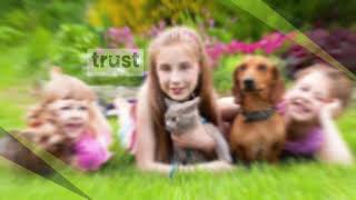 Pest Control Northern Suburbs Melbourne | Trust Pest Control Melbourne