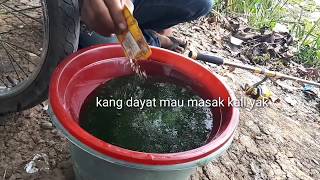 situ cipule kabupaten karawang jawa barat Mancing Joss | Mancing Mania