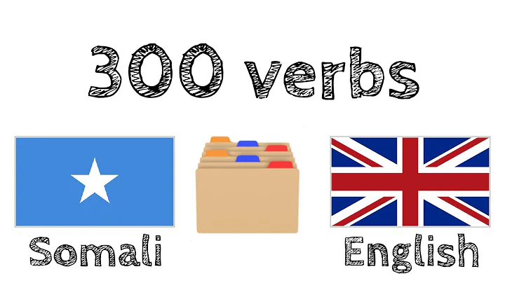 300 verbs + Reading and listening: - Somali + English - (native speaker)