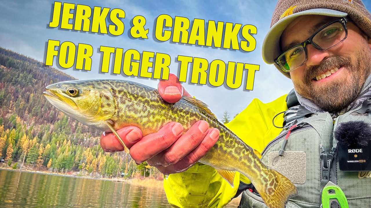 Catching Tiger Trout on Hardbaits YouTube