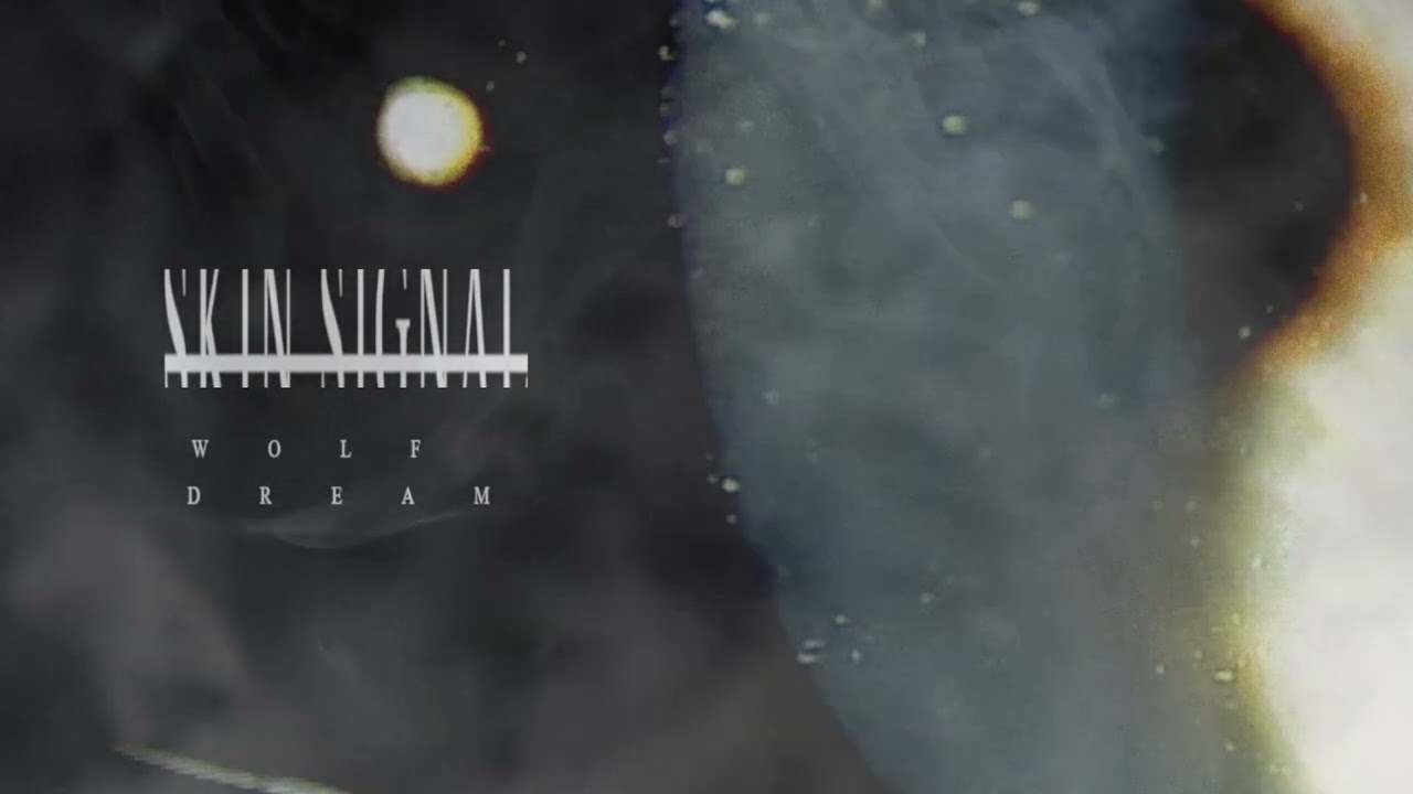SKIN SIGNAL - WOLF DREAM ----- NEW SINGLE