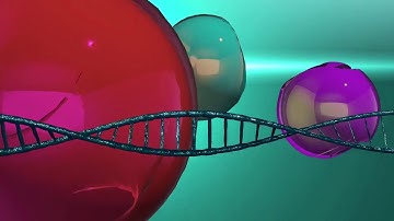 Fate, probability, Chaos Theory