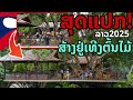 laos: 🔥 สุดแปลก!! สร้างอยู่บนต้นไม้ใหญ่ คาเฟ่แห่งแรกในลาว 2025 
