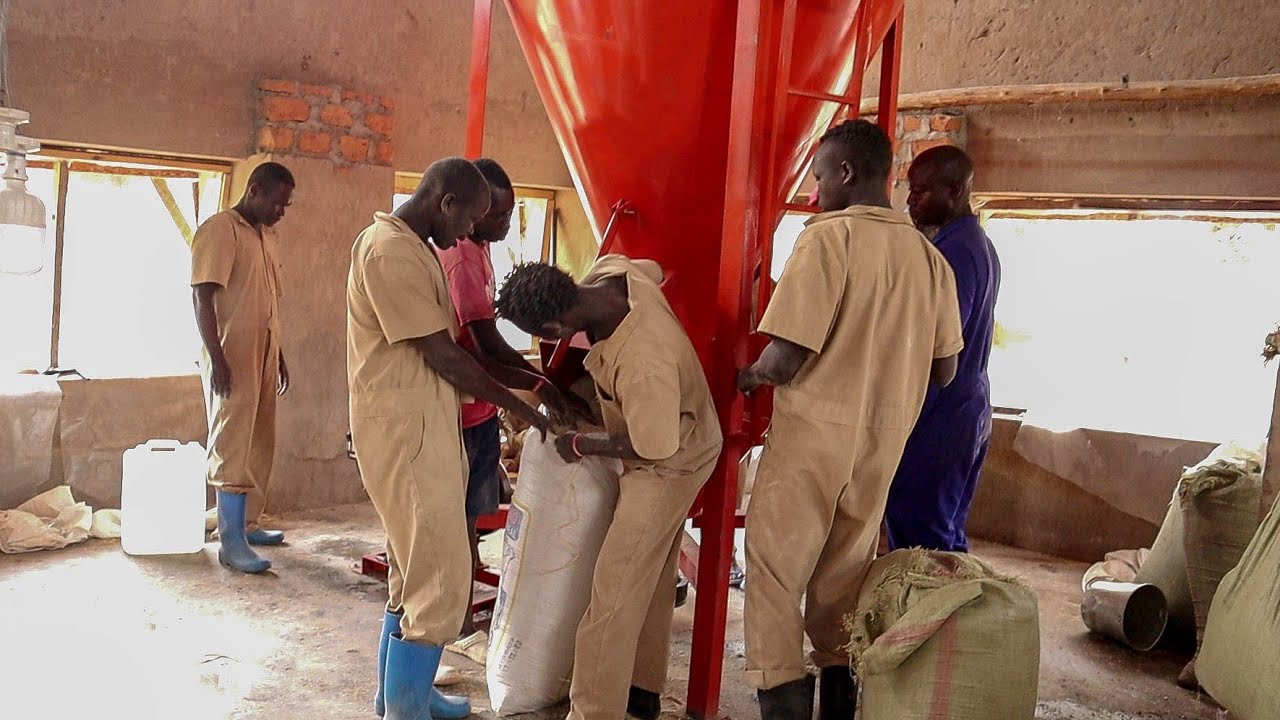 Как мы готовим корма для более чем 20 000 кур на ферме