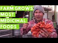 Farm Grows Most Medicinal Foods that Helped Heal Farmer from Cancer