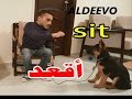 تدريب كلب على الجلوس HOW TO TRAIN A DOG TO SIT