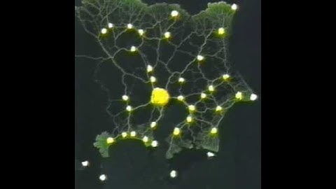 Slime mold form a map of the Tokyo-area railway system