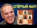 Шахматы. СПЁРТЫЙ МАТ в исполнении Гарри Каспарова!