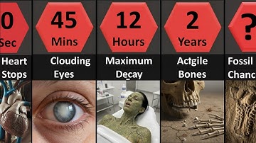 What Happens to Your Body After Death? Full Timeline