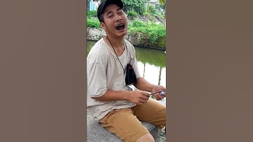 Chàng bắt ốc bưu vàng #Shorts