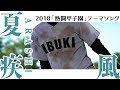 Natsuhayate ARASH Cover Summer High School Baseball Fight Song Full Ver Natsuhayate ARASH Cover Summer High School Baseball Fight Song Full Ver