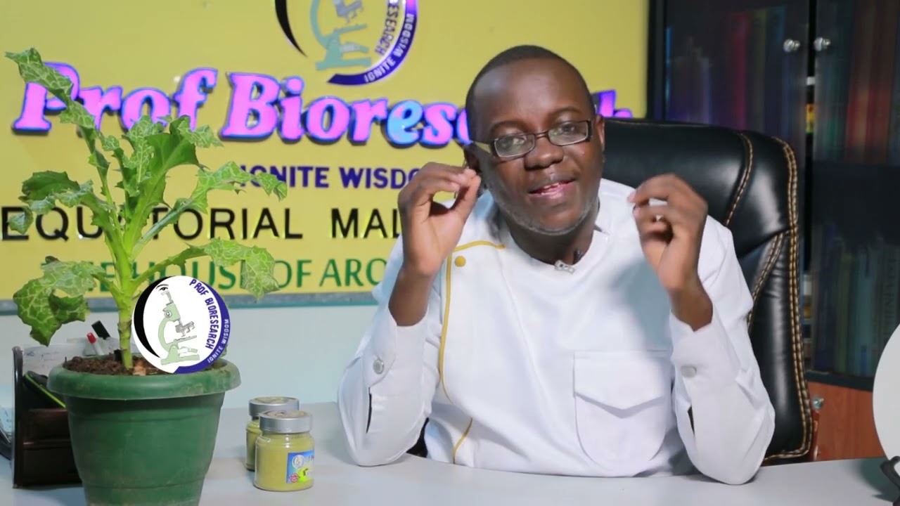 MILK THISTLE HEALTH BENEFITS WITH OMUKENKUFU NYANZI JULIUS Part 1