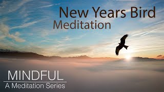 Energize Your New Year's Resolution with our 10 Minute Meditation