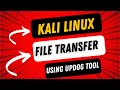 Simplify File Transfer in Kali Linux using updog