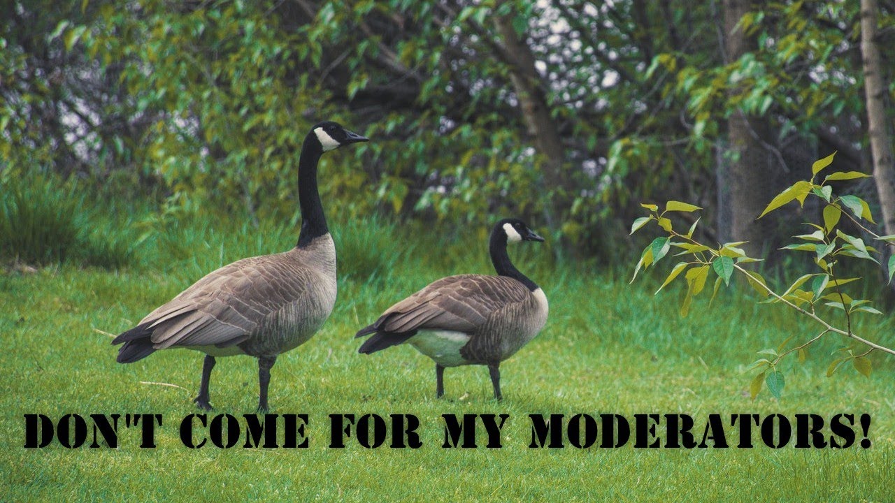 What's good for the Goose is good for the gander!!!!!! YouTube