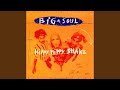 Capture de la vidéo Hippy Hippy Shake (Remix)