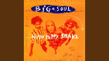 Hippy Hippy Shake (Remix)
