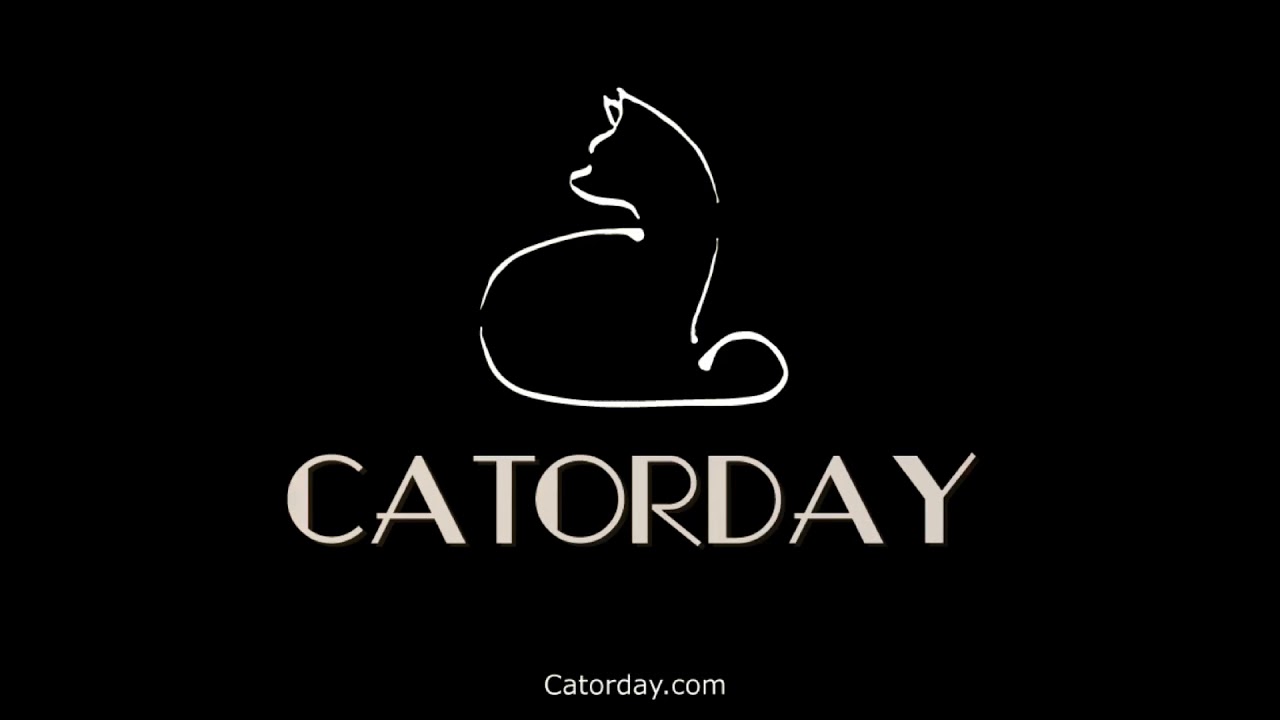 Maison personnalisable moderne pour chats et petit chiens