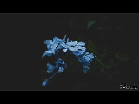 FUTURE GARAGE/WAVE MIX [SUMMER IX]