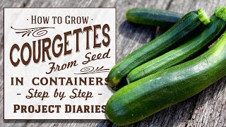 ★ How to: Grow Courgettes aka Zucchini from Seed in Containers (Step by Step Guide)