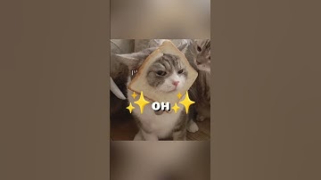 Remove the first and last letter of your name | #shorts #fypシ゚viral #trend #name