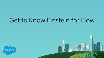 Get to Know Einstein for Flow