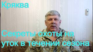 Секреты охоты на водоплавающую дичь. Как и где добыть утку в течении охотничьего сезона. Секреты охоты на водоплавающую дичь. Как и где добыть утку в течении охотничьего сезона.