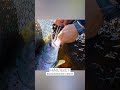 🐟 Рыбалка нахлыстом: Вываживание атлантического лосося (Крупная сёмга) 🎣