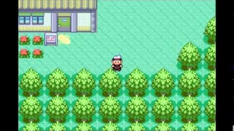 Pokemon Ruby Hack Adventure Part 1