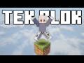Minecraft Tek Blok 100 Gün’de KRALLIK KURDUM!!